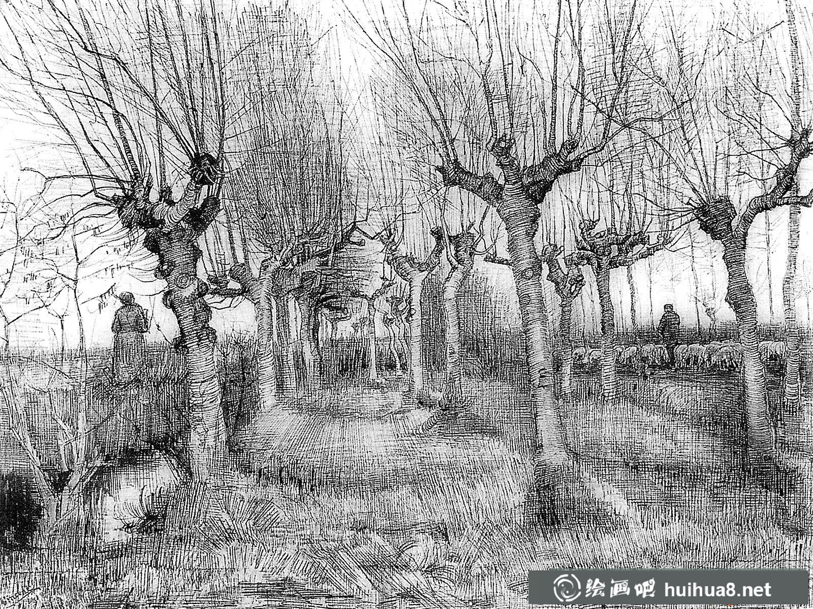 梵高风景素描画欣赏【7p】(3)