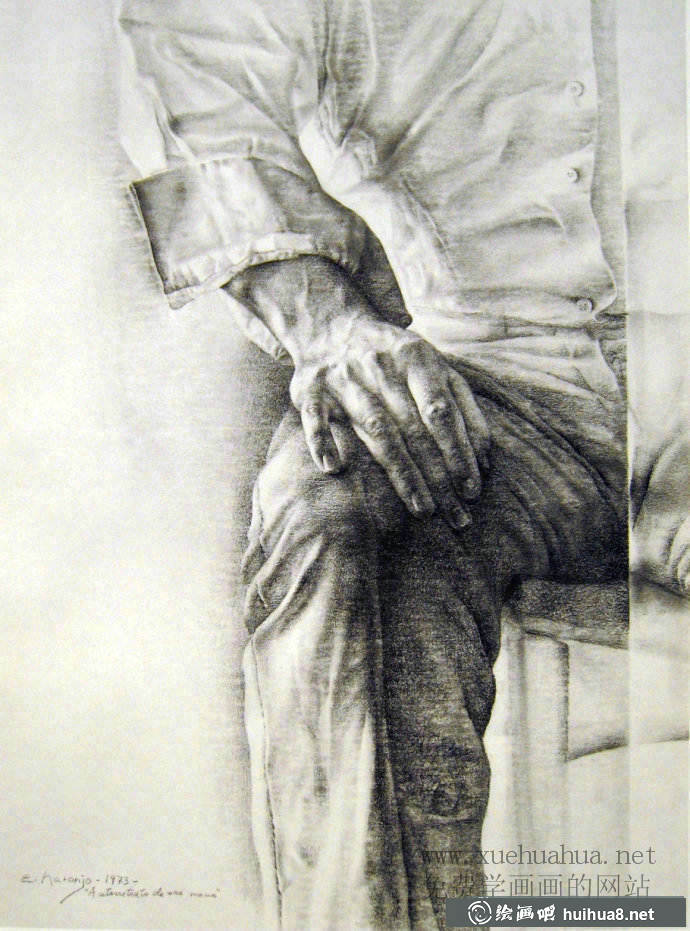 西班牙画家纳兰霍素描画欣赏(8)
