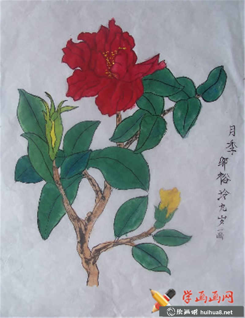 中国画月季(1)