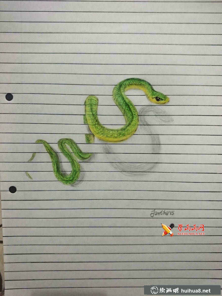 彩铅画小动物(3)