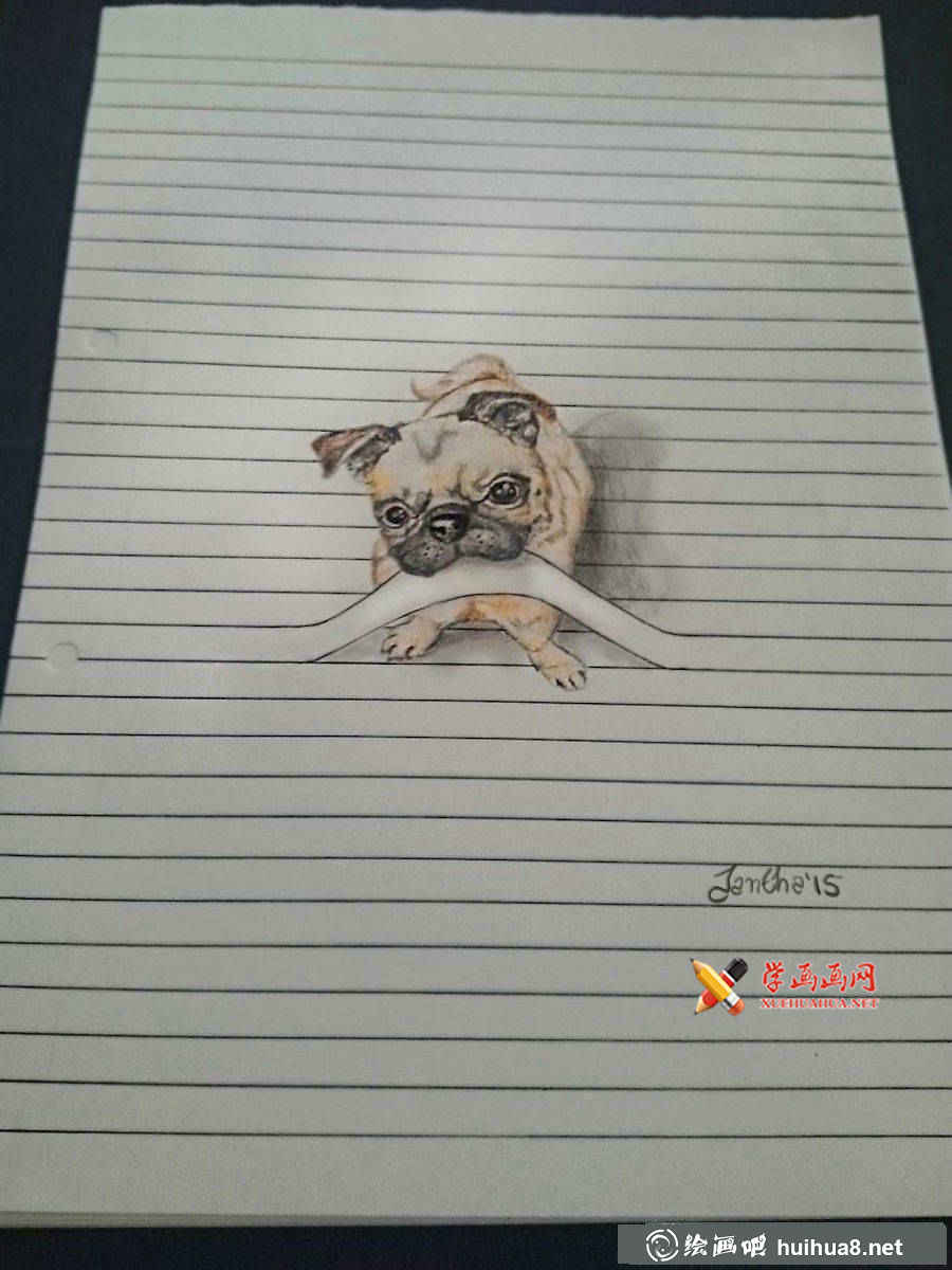 彩铅画小动物(4)