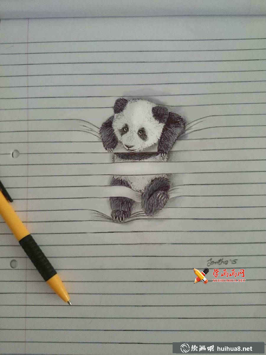 彩铅画小动物(5)