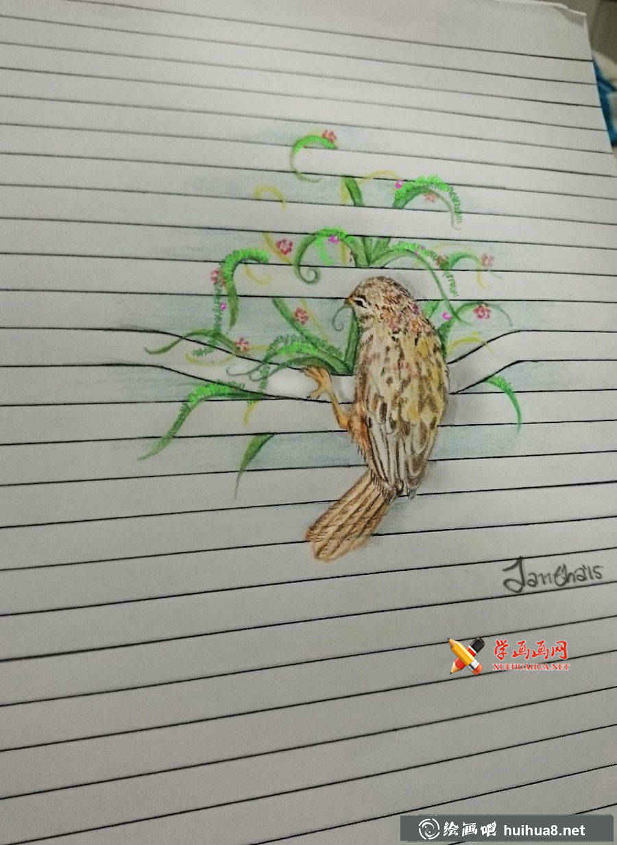 彩铅画小动物(6)