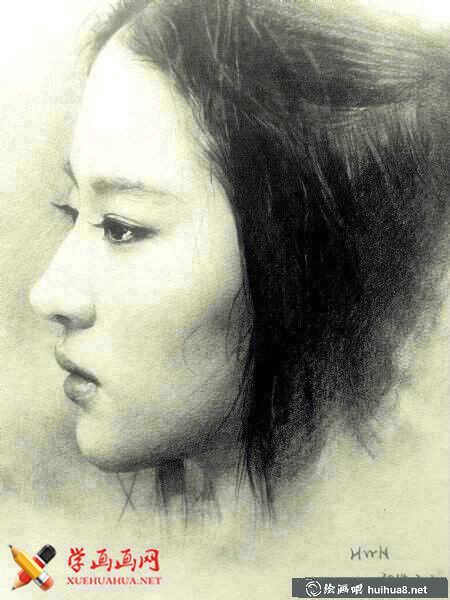 明星刘亦菲素描图片(4)