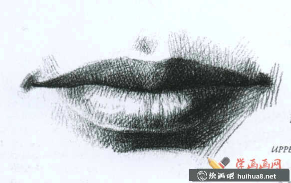 素描嘴的结构及画法步骤(1)