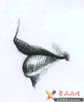 素描嘴的结构及画法步骤(2)