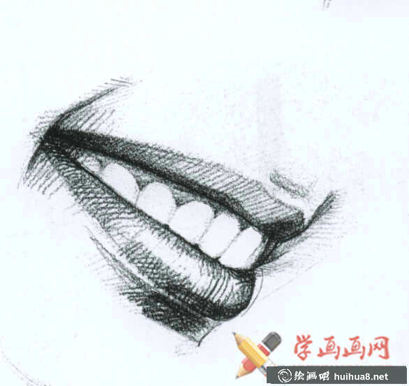素描嘴的结构及画法步骤(11)