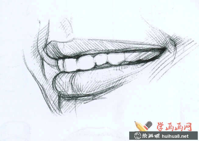 素描嘴的结构及画法步骤(12)