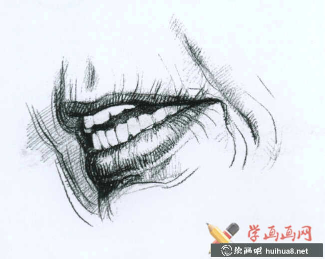 素描嘴的结构及画法步骤(15)