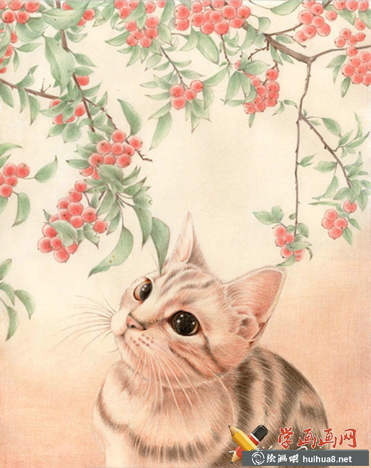 一组猫咪彩铅画欣赏(4)