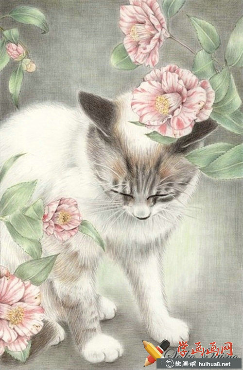 一组猫咪彩铅画欣赏(1)