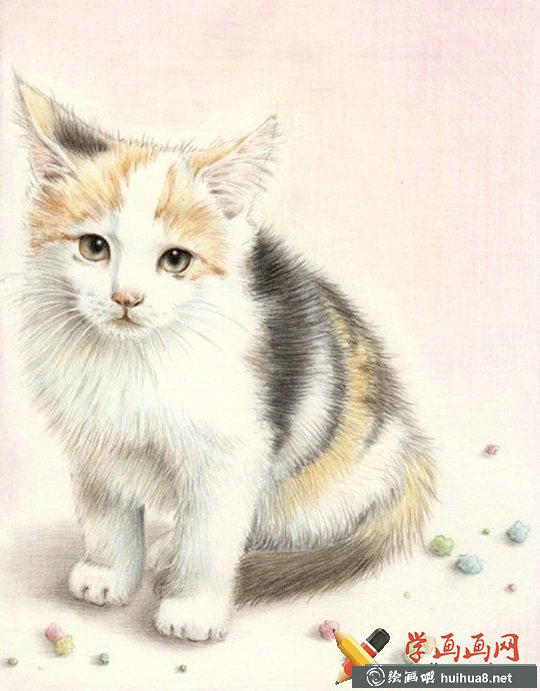 一组猫咪彩铅画欣赏(5)