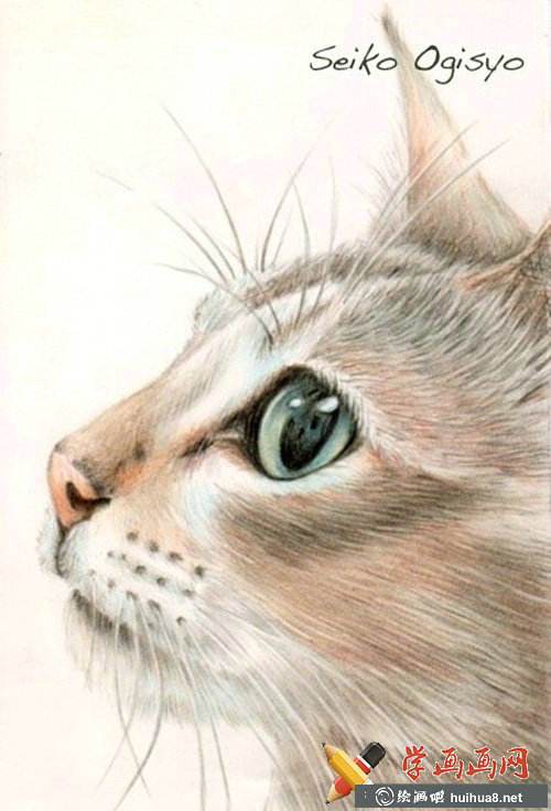 一组猫咪彩铅画欣赏(6)