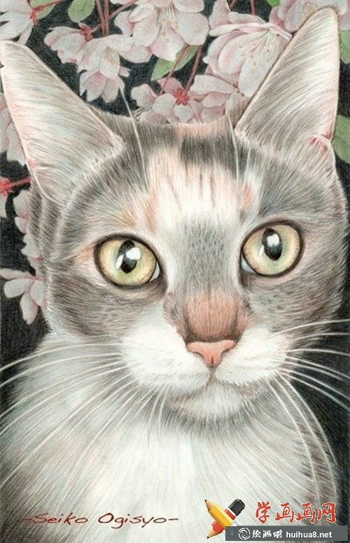 一组猫咪彩铅画欣赏(9)
