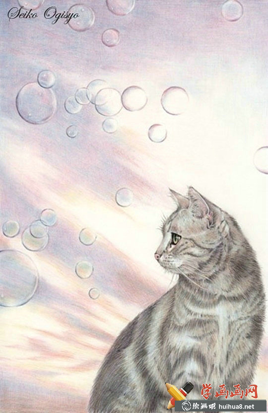 一组猫咪彩铅画欣赏(11)