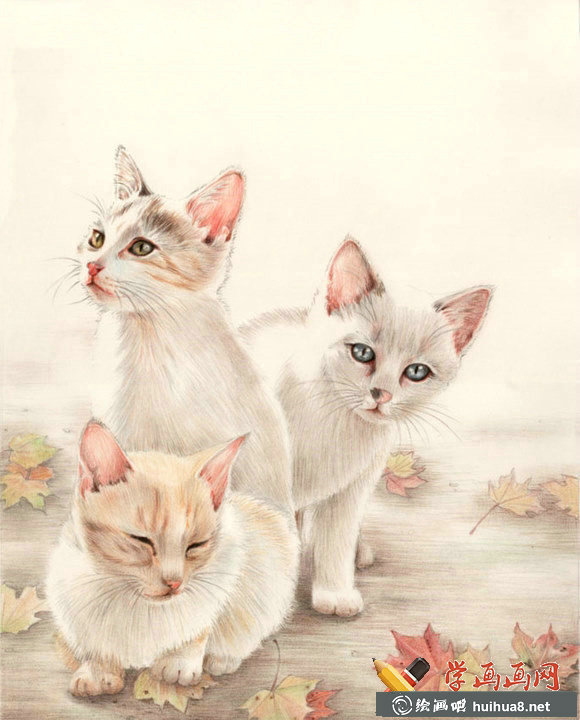 一组猫咪彩铅画欣赏(7)