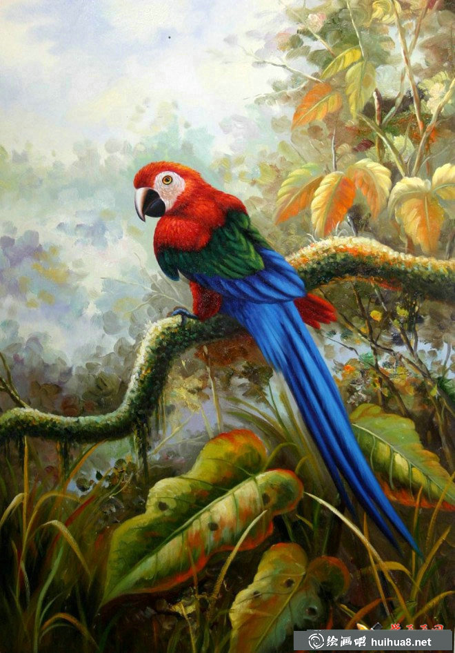 关于鸟的彩铅画图片欣赏(9)