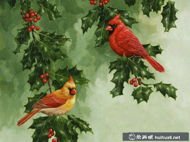 关于鸟的彩铅画图片欣赏(15)
