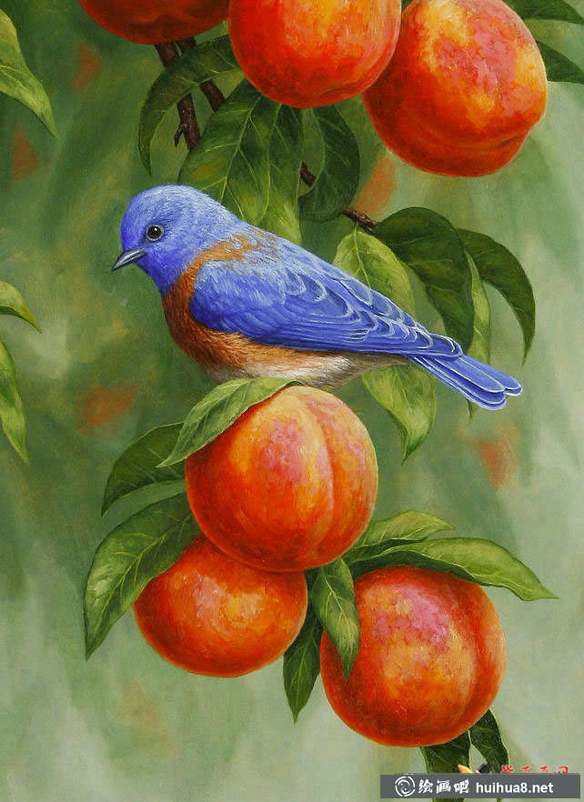 关于鸟的彩铅画图片欣赏(21)
