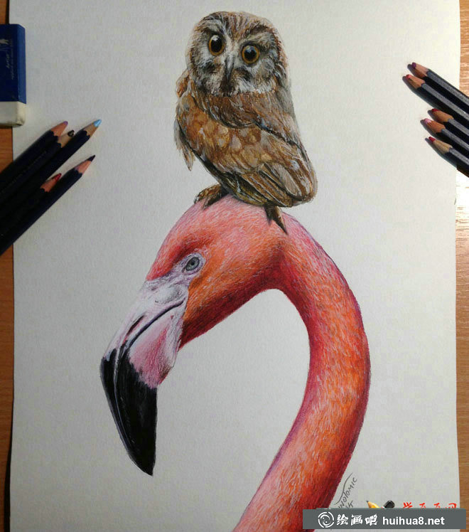 关于鸟的彩铅画图片欣赏(24)