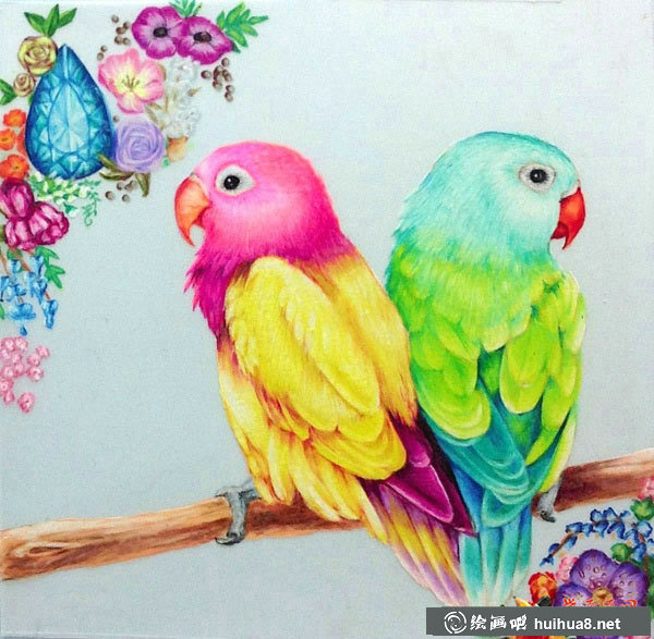 关于鸟的彩铅画图片欣赏(30)