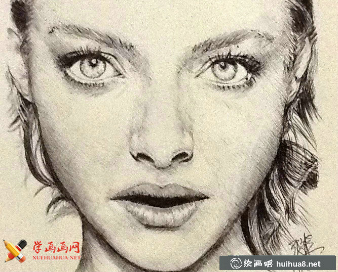 阿曼达·塞弗里德素描画欣赏(12)
