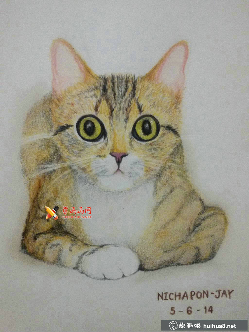 3幅萌猫彩铅画图片欣赏(2)
