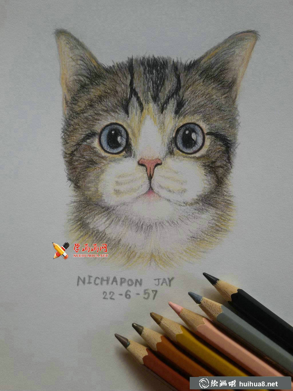 3幅萌猫彩铅画图片欣赏(1)