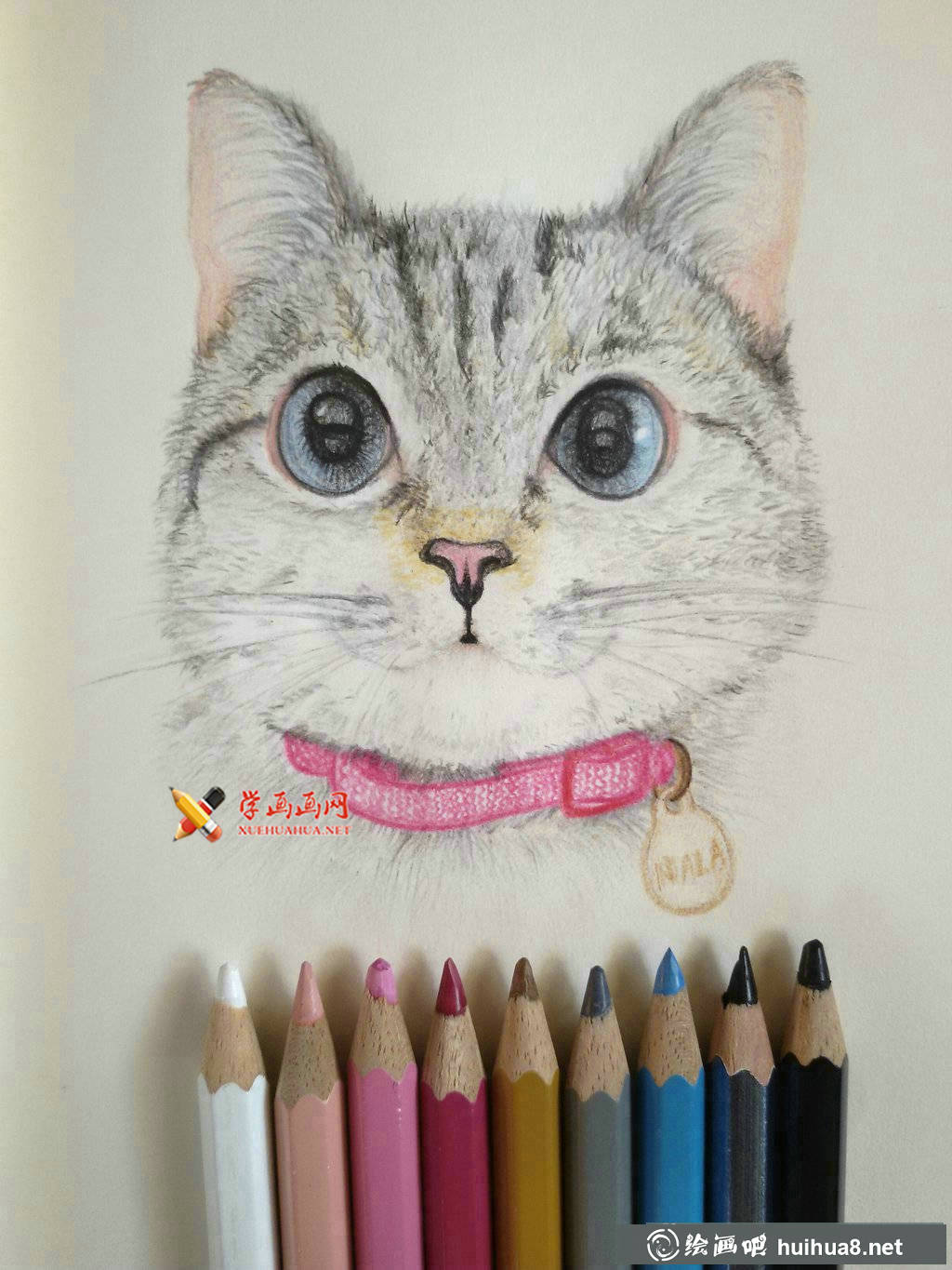 3幅萌猫彩铅画图片欣赏(3)