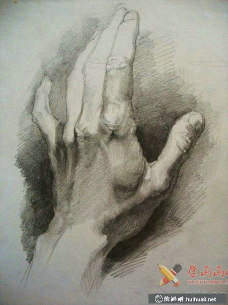 素描手图片欣赏(2)