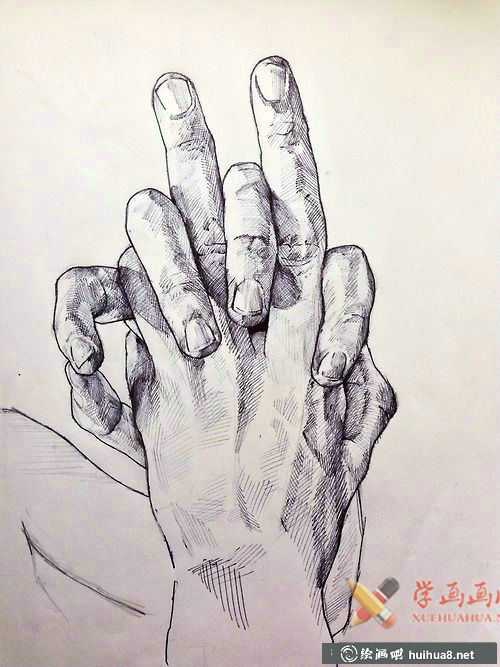 素描手图片欣赏(8)