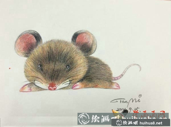 十二生肖彩铅画图片鼠