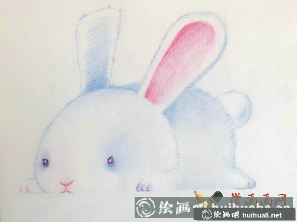 十二生肖彩铅画图片兔