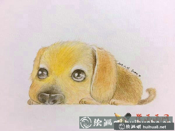 十二生肖彩铅画图片狗