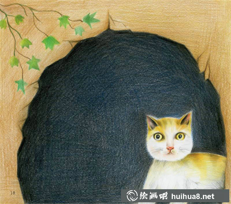 彩铅猫咪插图作品12