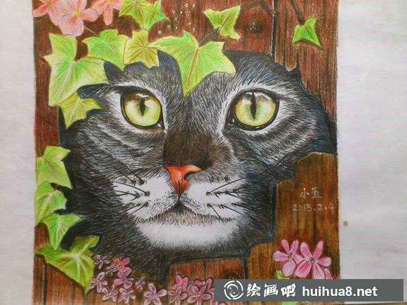 彩铅猫咪插图作品15