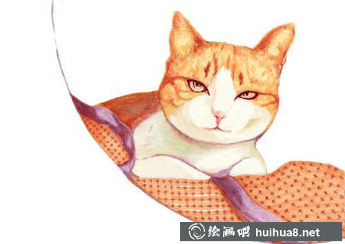 彩铅猫咪插图作品16