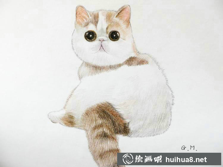 彩铅猫咪插图作品17