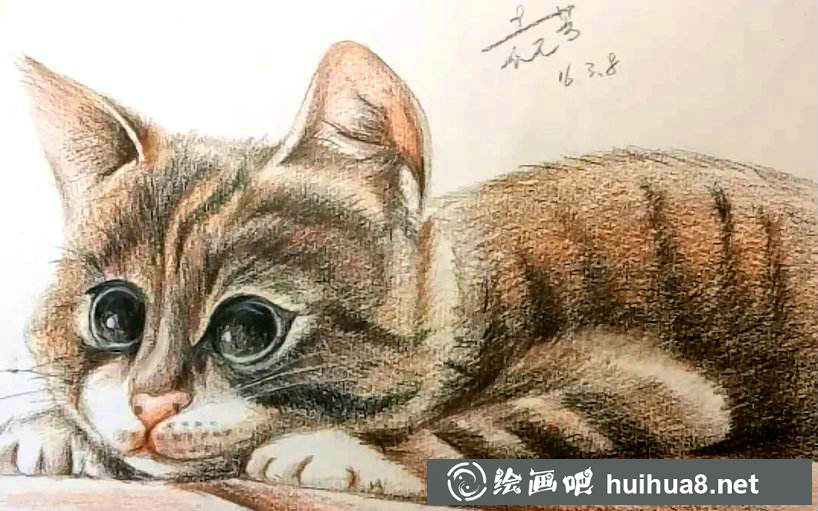 彩铅猫咪插图作品18