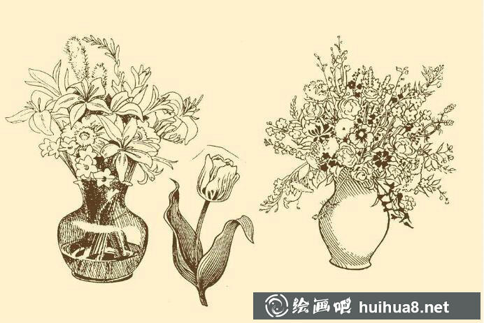钢笔画花卉图片20