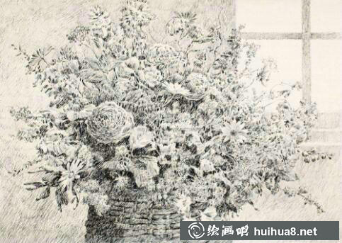 钢笔画花卉图片19