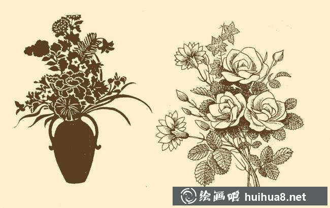 钢笔画花卉图片18