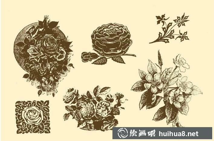 钢笔画花卉图片17