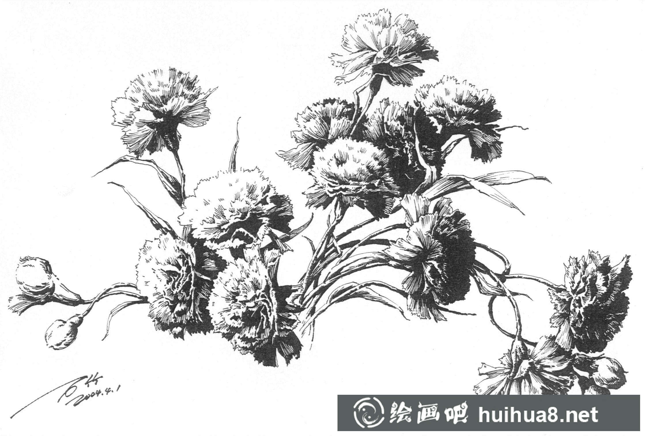 钢笔画花卉图片15
