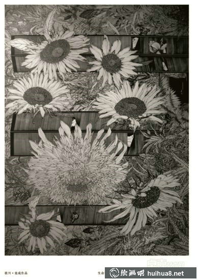 钢笔画花卉图片13