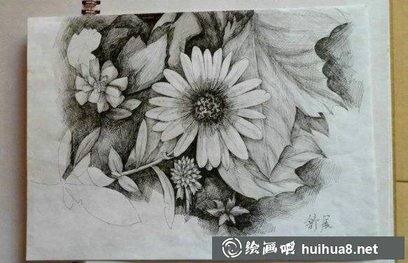 钢笔画花卉图片10