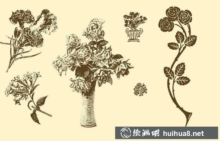 钢笔画花卉图片5