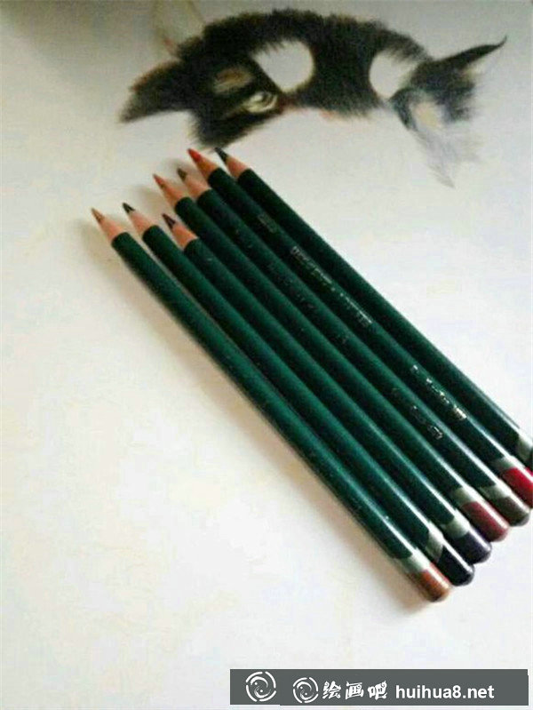 彩铅画狗