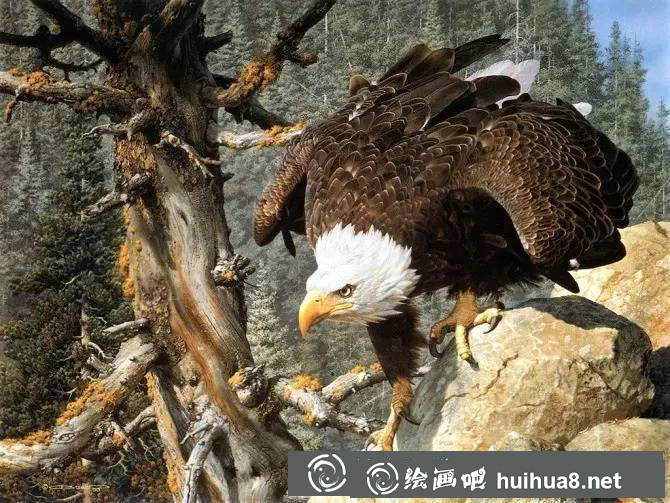 好看逼真的动物丙烯画作品欣赏