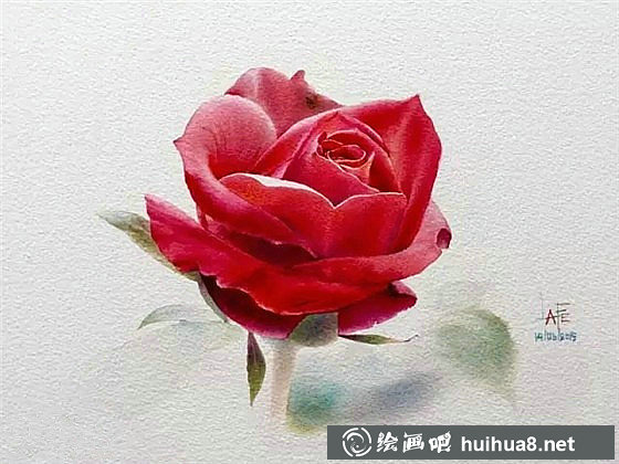 玫瑰的问候